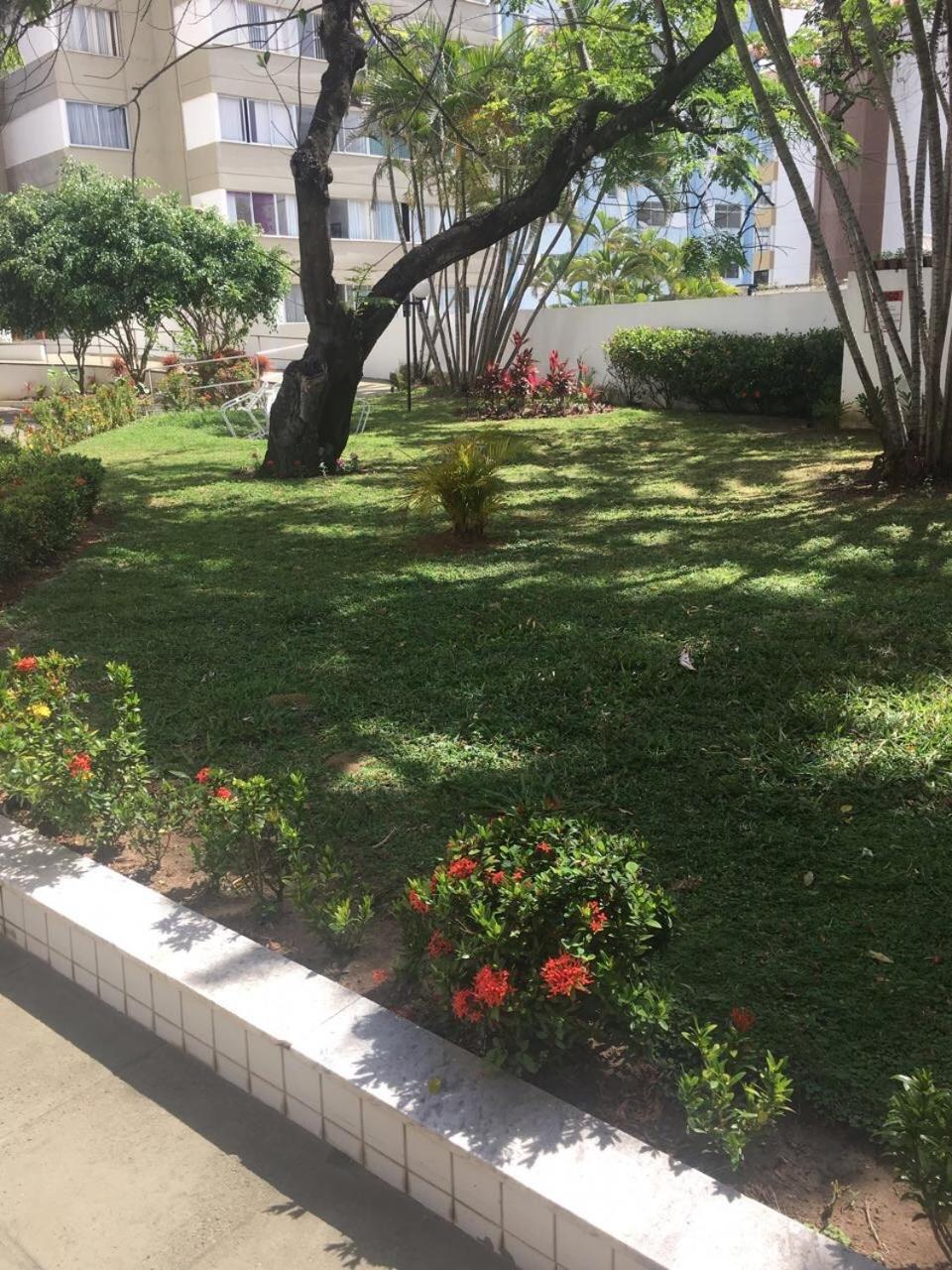Barra Summer Flat Salvador da Bahia Exterior foto